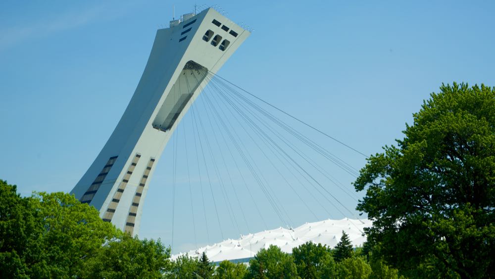 la torre dello Stadio Olimpico vista dal Giardino Botanico